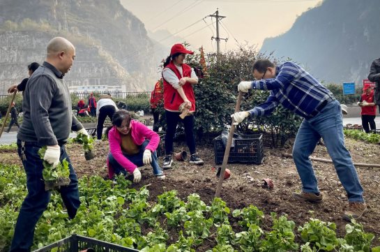 c58e4e6e4a6884f345daf2edfea8b3b