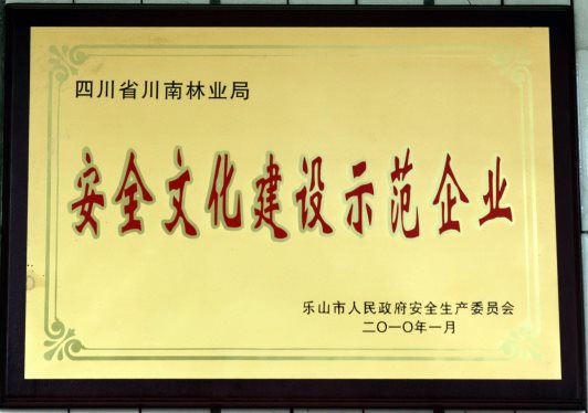 2010年安全文化建設示范企業